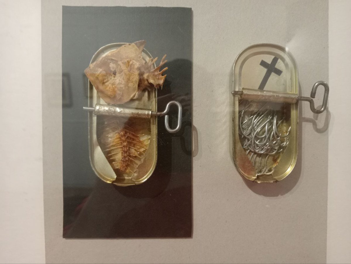 La Enredadera (Mérida) tweet media