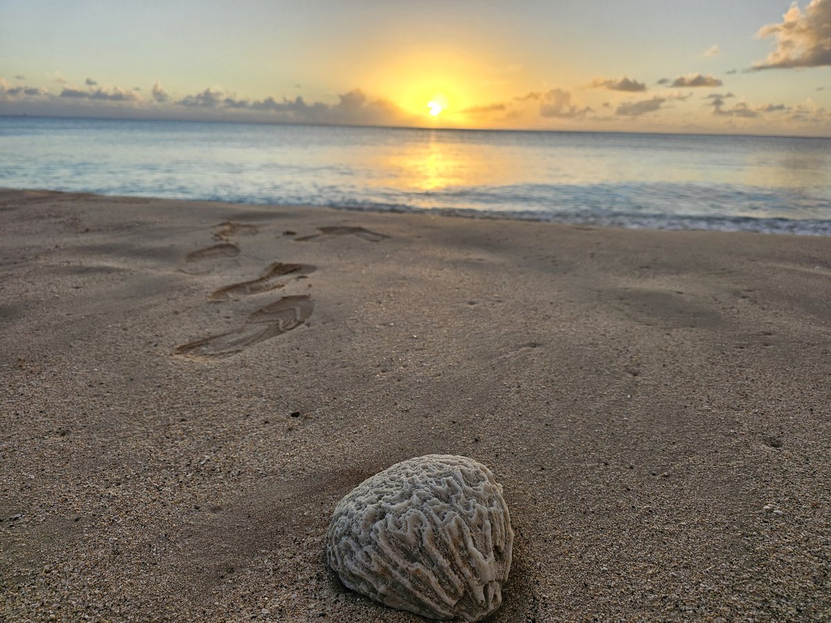 Sarshe330's tweet image. The world is so rich in natural perfection. We are all too busy to fully appreciate it's beauty as we should.