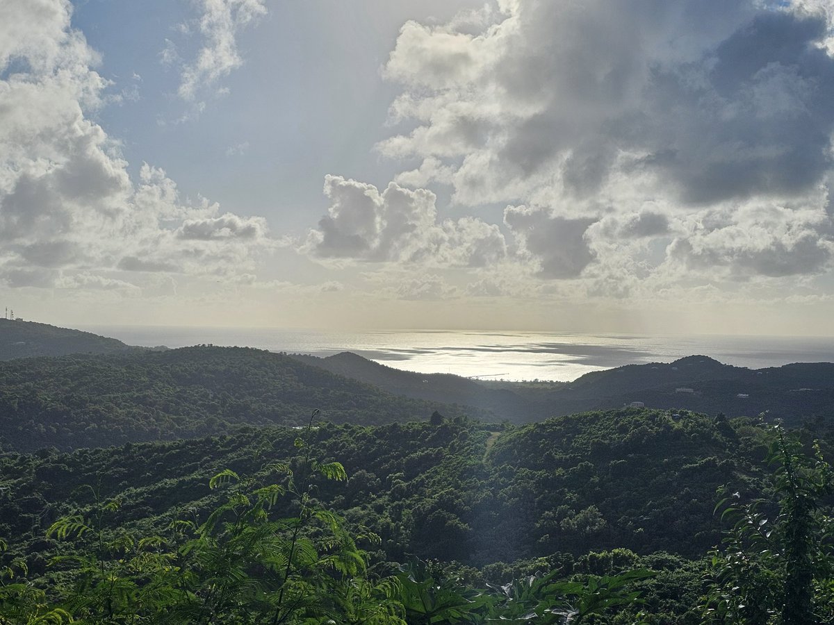 Sarshe330's tweet image. The world is so rich in natural perfection. We are all too busy to fully appreciate it's beauty as we should.