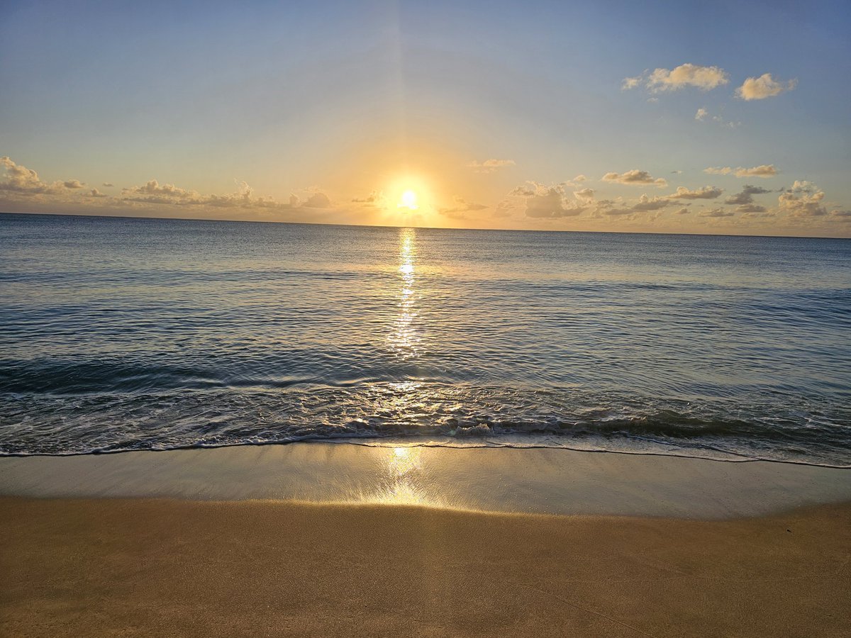 Sarshe330's tweet image. The world is so rich in natural perfection. We are all too busy to fully appreciate it's beauty as we should.