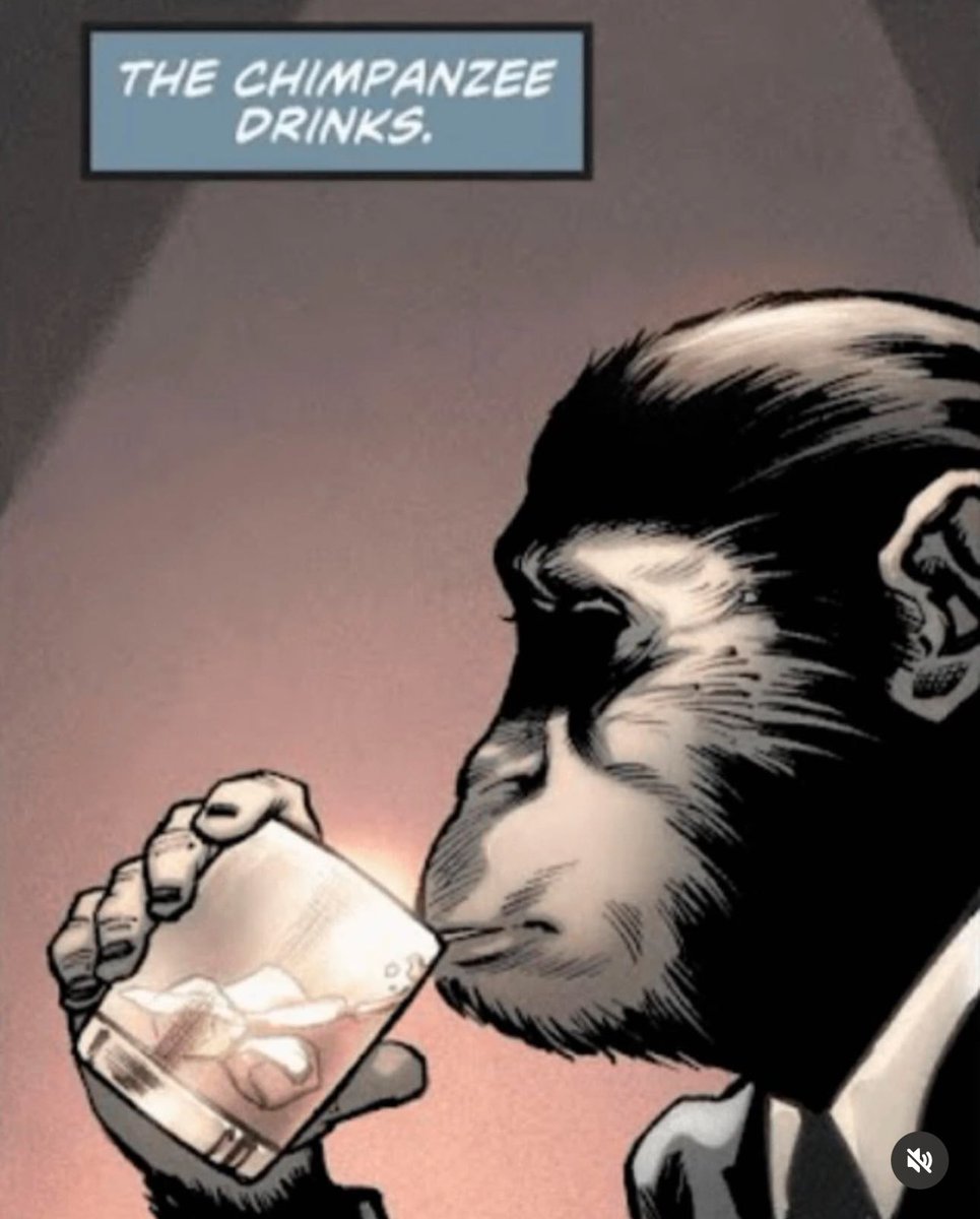 bunk 🐒💥 tweet media