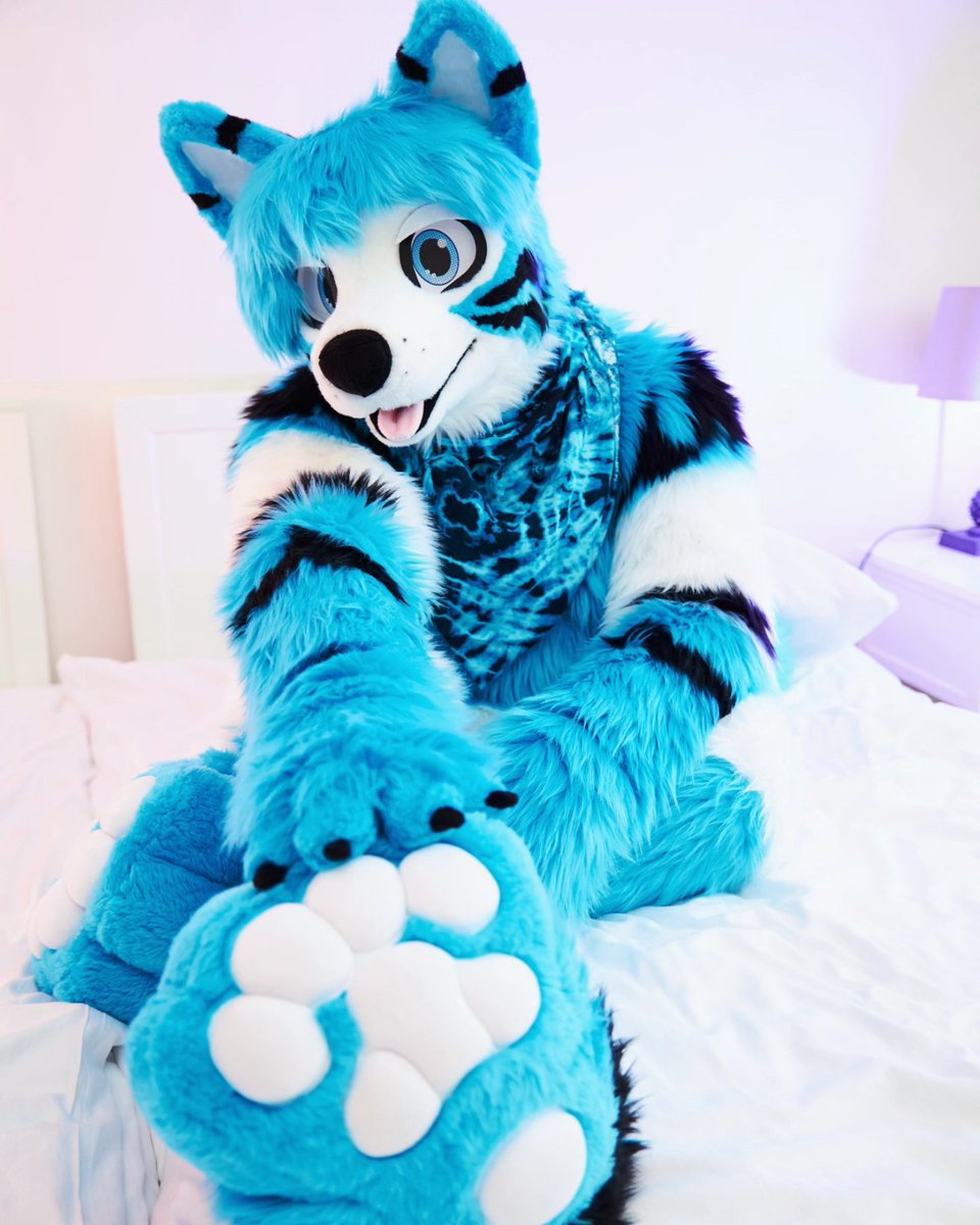 Vuk🔜NFC/2Dance (@vwusky) on Twitter photo Wanna join me for an lazy sunday and paw massage? Those paws are sore from running around all week, who will join and help me with that? ☺️🐾
📸 <a href="/MFurPhotography/">📸 Midnight Furtography • Furry Photostudio</a>
🪡 <a href="/Sasa_Creations/">Sasa Creations🌸🔜TFI|EAST|Furciety</a> Wanna join me for an lazy sunday and paw massage? Those paws are sore from running around all week, who will join and help me with that? ☺️🐾
📸 <a href="/MFurPhotography/">📸 Midnight Furtography • Furry Photostudio</a>
🪡 <a href="/Sasa_Creations/">Sasa Creations🌸🔜TFI|EAST|Furciety</a>