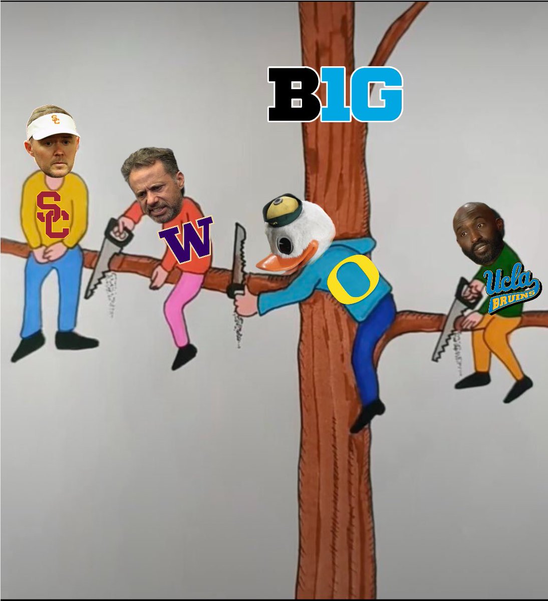 Recap of how all the NEW B1G teams did this year👀