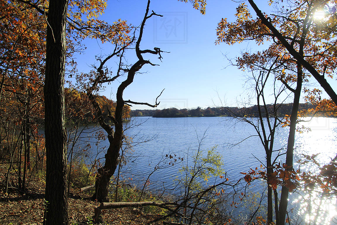 KJP Photography tweet media