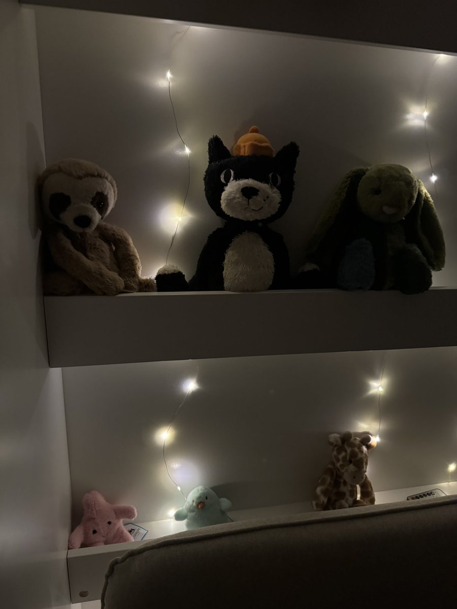 emilysmith820's tweet photo. Small number of my jellycat collection have a new home in our foldaway bed 😂 https://t.co/2Dus0HF4lq