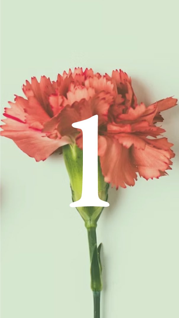 ExpoReviewLit's tweet photo. 🚨⌛️SUBMISSIONS CLOSE TONIGHT! It’s the last day to submit to our “Spring” issue. Send us your writing, art, and creative pursuits by midnight tonight! We pay contributors $50! Submit here: https://t.co/TU4wpO8Z5c. 

#callforsubmissions https://t.co/rWRzMN6QSX