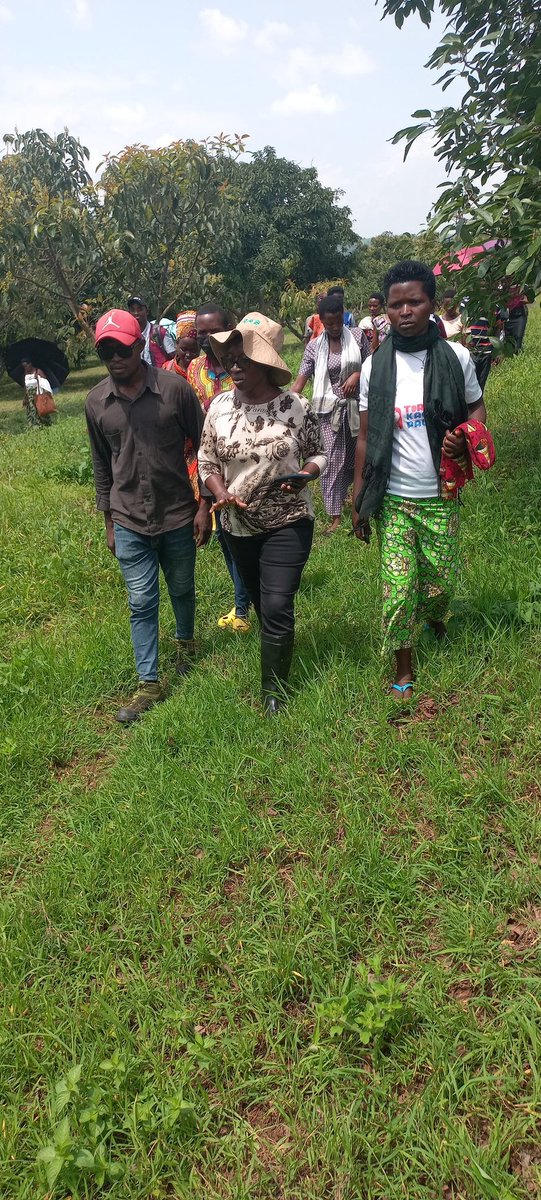 Eric08352300's tweet photo. On 12/12/2024 in collaboration with @RwandaAgriBoard, @YEAN_Agro  organized a study tour for 82 young farmers as YEFFA project beneficiaries from Mimuli, Mukama and Nyagatare Sector. The tour focused on diverse crops, including mangoes, avocados, peas, soybeans, and beans. https://t.co/3P8vd4lulU