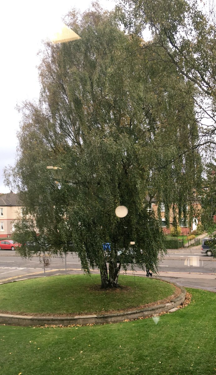ballantyne_lisa's tweet image. Amazing protest again outside @GlasgowLib #CardonaldLibrary today - closed since Sep '23 despite newly refurbished. I wrote a large part of #OnceUponaLie in the mezzanine of this local library and important resource. Power to you: 'Gies Back our Books' cardonaldlibrary.com