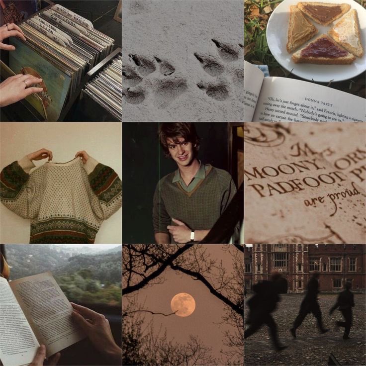 wrgdirection's tweet photo. @mamonela_ @starlightHazzaa ₊˚⊹@wlfmalik como Remus Lupin - “Aluado” https://t.co/aX35z6McaM