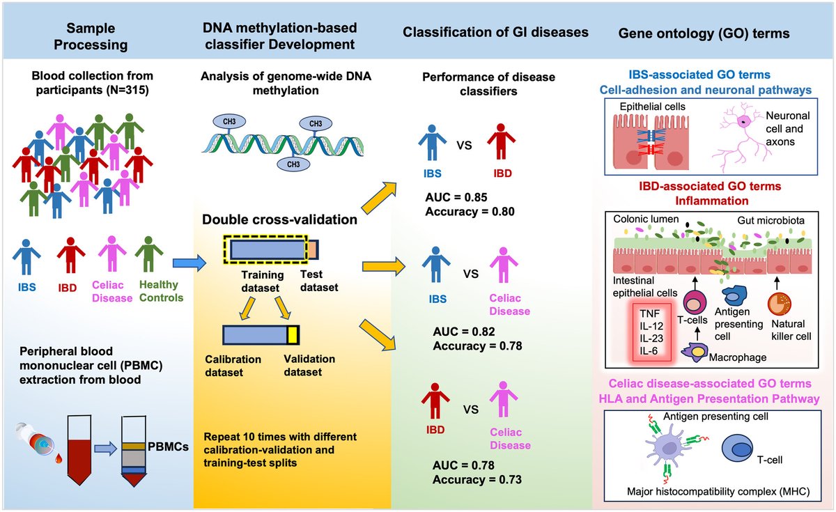 NGMJournal's tweet image. 🆕🔥Genome-Wide DNA #Methylation identifies potential disease-specific #biomarkers &amp;amp; #pathophysiologic mechanisms in #IBS #IBD &amp;amp; #CeliacDisease‼️@UCLAGIHep👏
🎯#CellAdhesion &amp;amp; #Neuronal pathways⏩#IBS
🎯#Inflammation⏩#IBD
🎯MHC class II pathways⏩#CeD
👉onlinelibrary.wiley.com/doi/10.1111/nm…