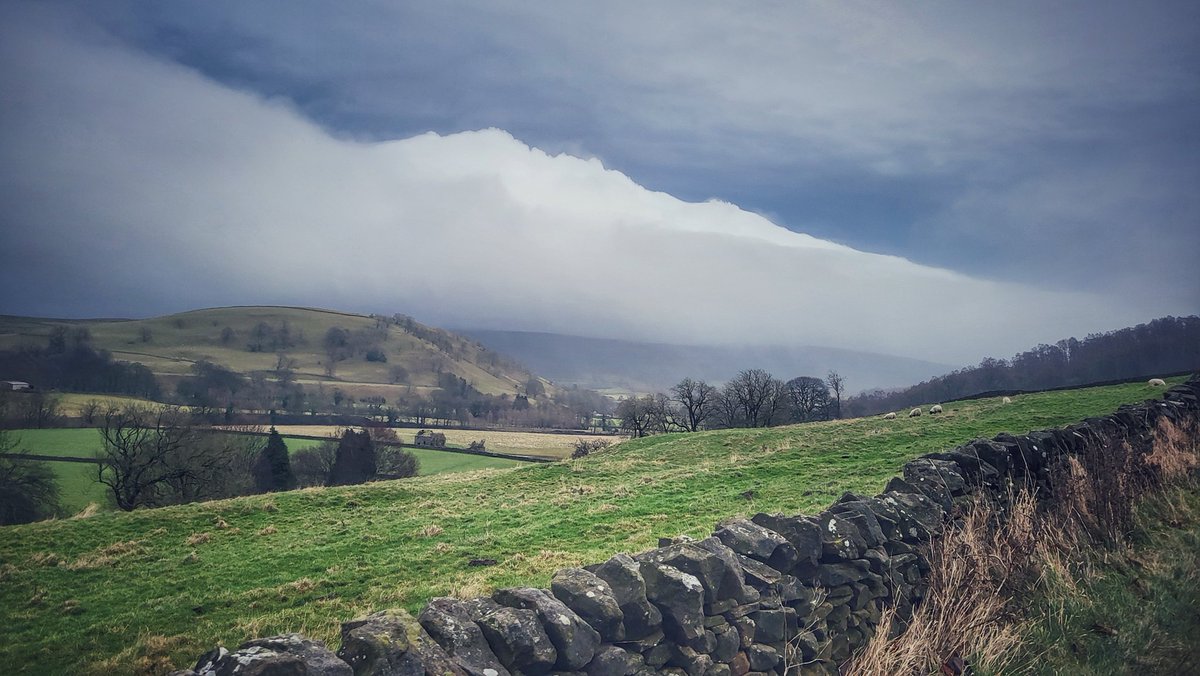 Zoë Westerman 🏴󠁧󠁢󠁷󠁬󠁳󠁿 tweet media