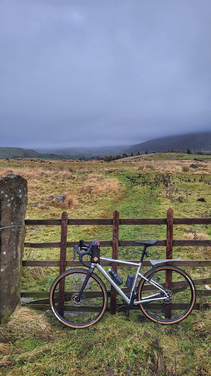 Zoë Westerman 🏴󠁧󠁢󠁷󠁬󠁳󠁿 tweet media