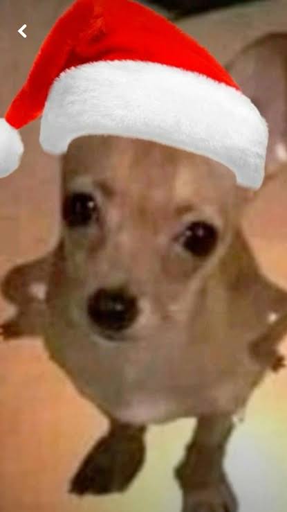 wparun's tweet photo. Pensamientos de pendeja 🎄 https://t.co/EC1ZrtOIUW