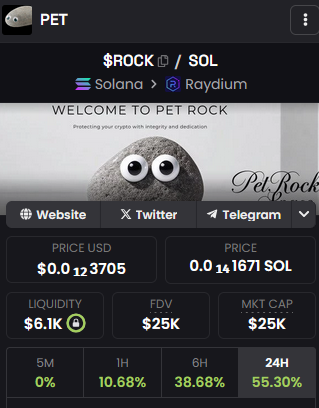 Pet Rock 🏆 tweet media