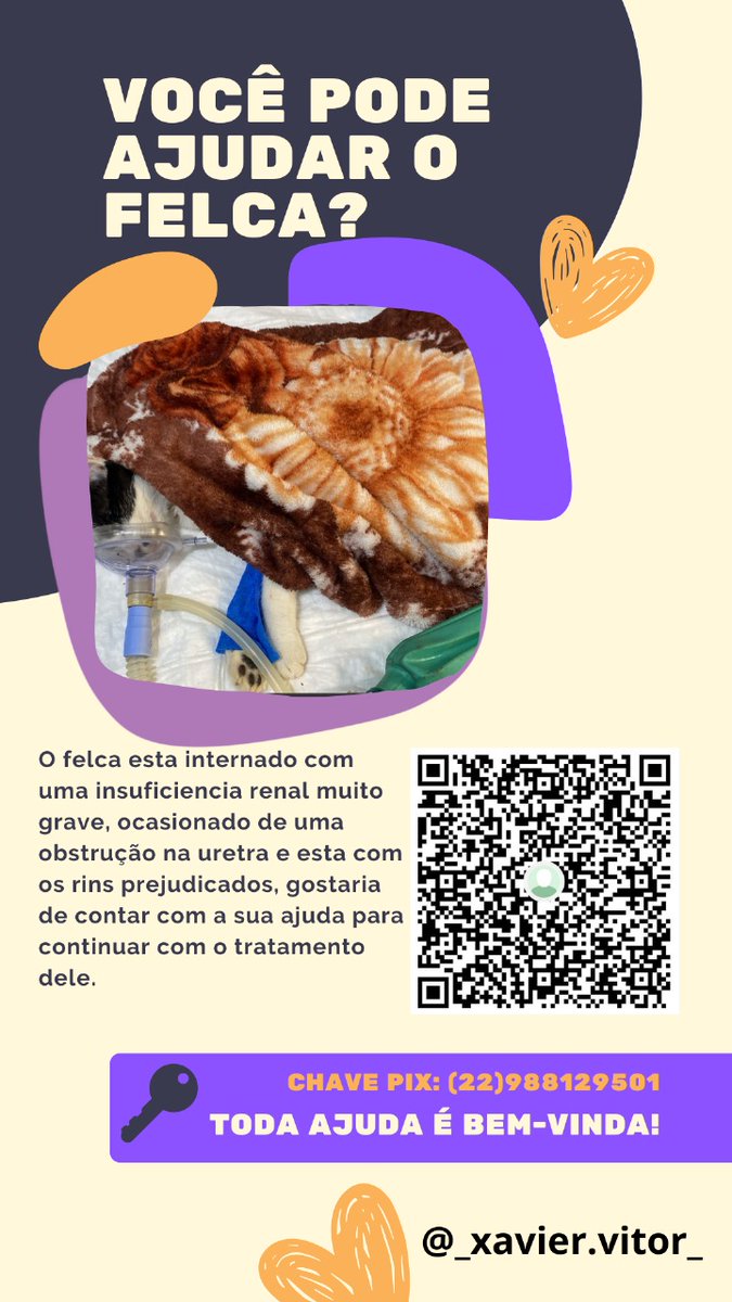 Cegueta3's tweet photo. Você pode ajudar o felca? #felca #gato #ajuda https://t.co/hiMNjTNGu9