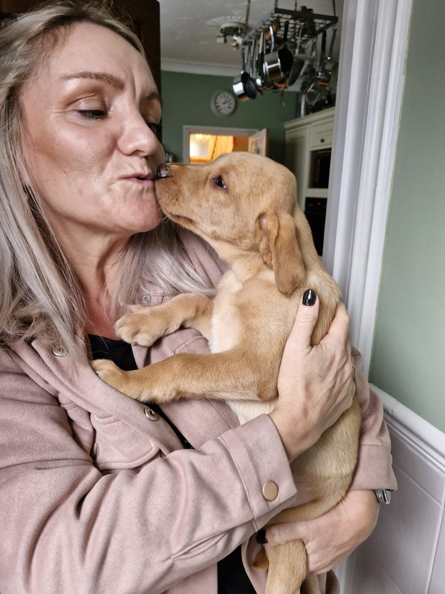 Fatbaldbloke tweet media