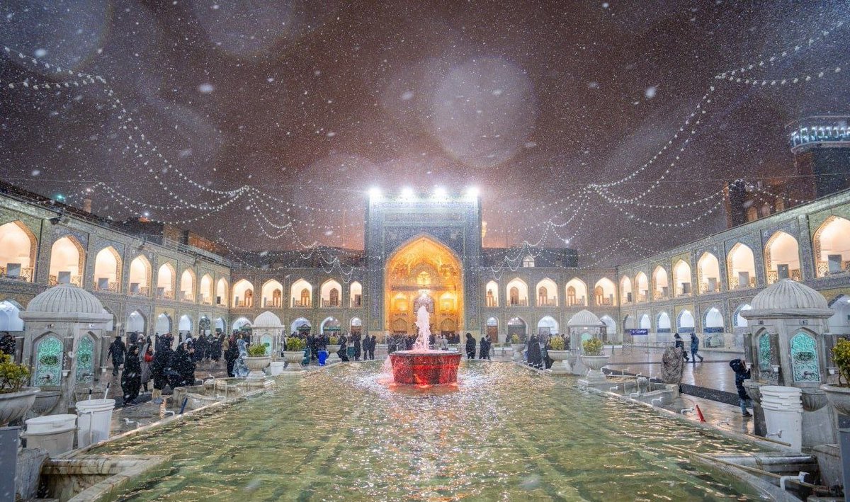 اقاعلی🇮🇷 tweet media