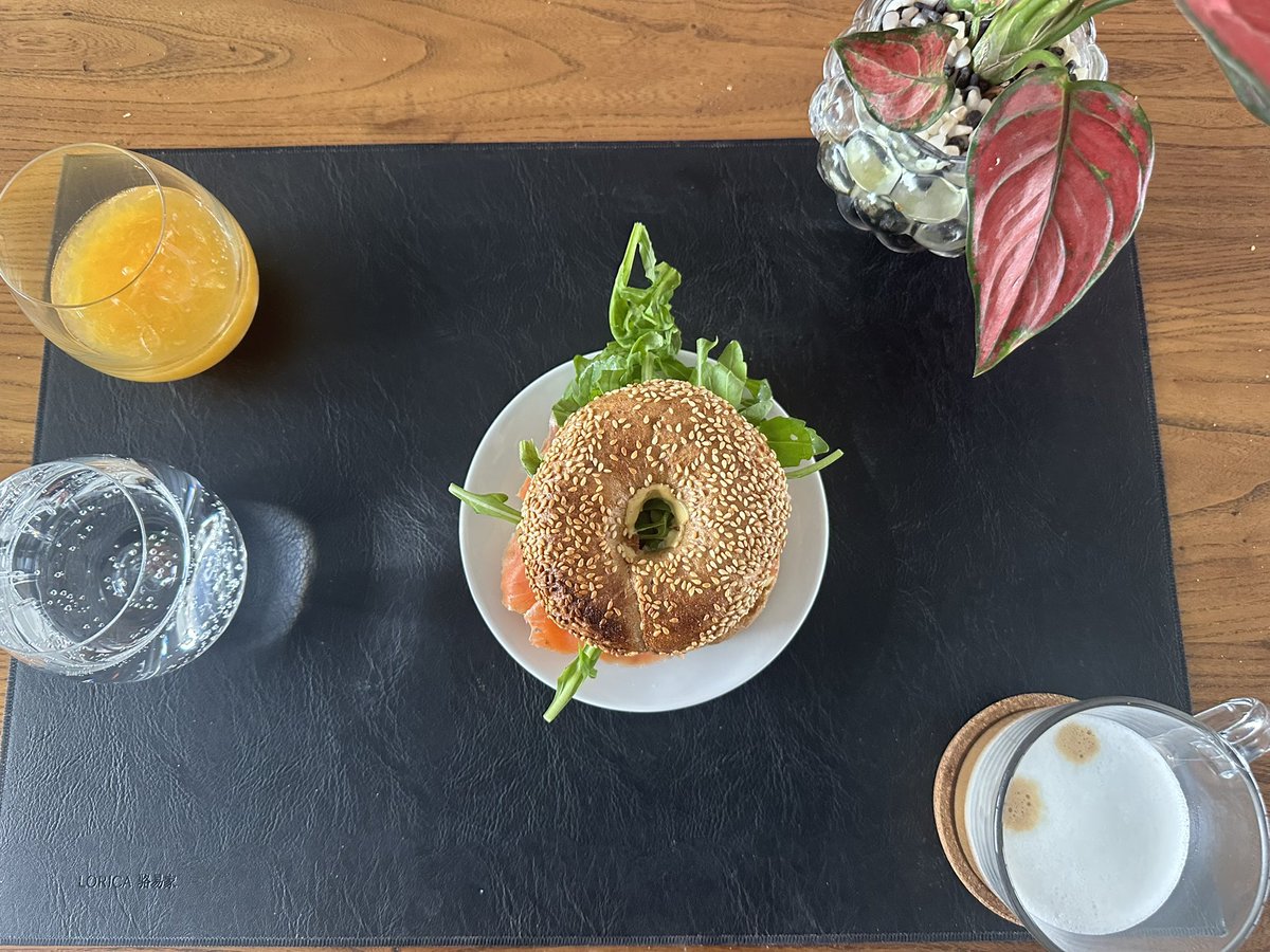 Jana Rodriguez Hertz 汉娜 tweet media