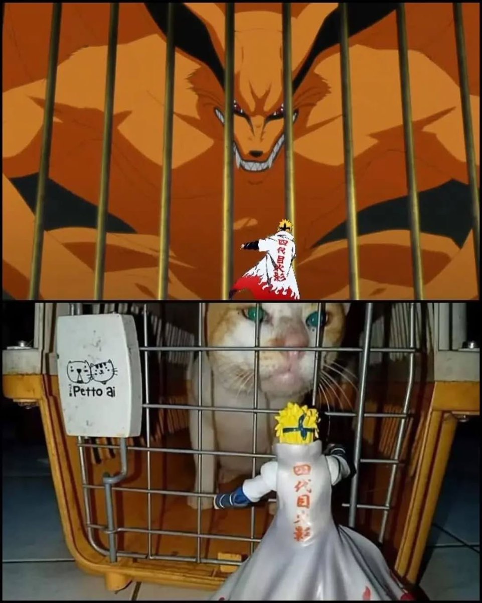 NarutoDaily_'s tweet photo. Same Energy https://t.co/Za7TzMYkMi