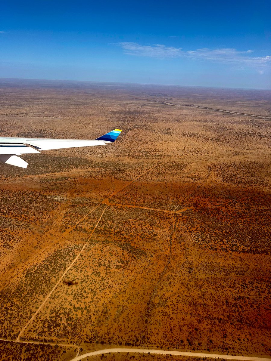 Sarah Cooper tweet media