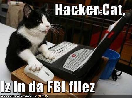 Anarcho_Cats's tweet photo. https://t.co/OoMMFRjTEh