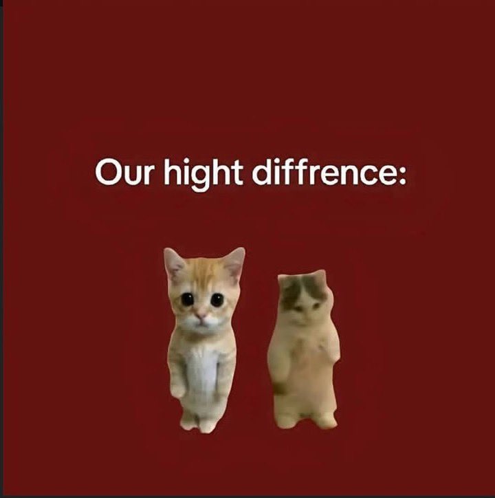 PunchingCat's tweet photo. real https://t.co/C4yp8HkUZp