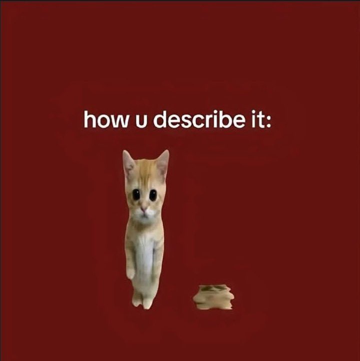 PunchingCat's tweet photo. real https://t.co/C4yp8HkUZp