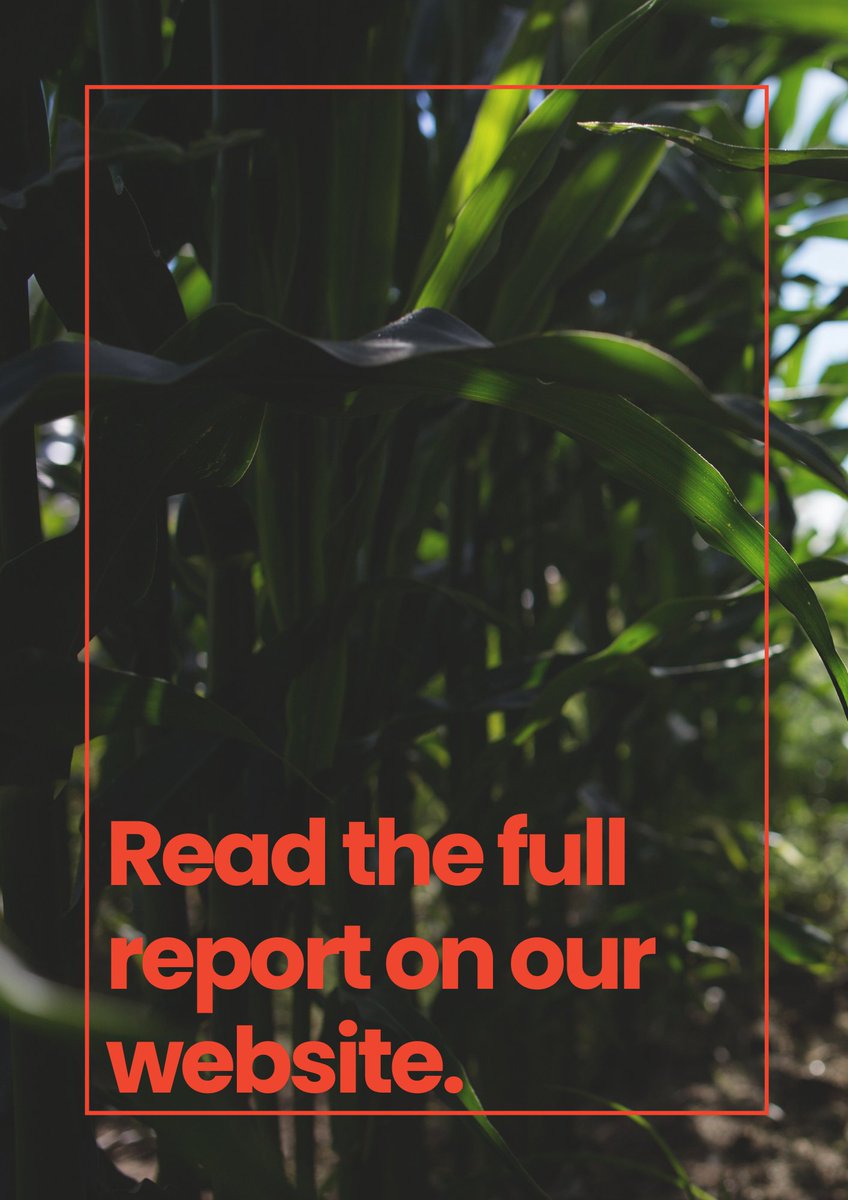 🌱 Exciting News from Beanstalk: We’re thrilled to launch our first-ever Impact Report!

👉 Explore our journey and bold goals in the full report: lnkd.in/gkSD8XiC