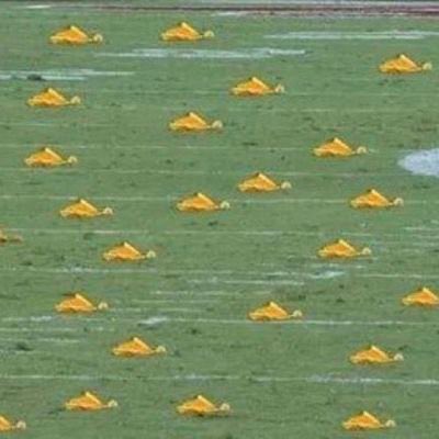 The refs any time the Steelers make a play #HereWeGo