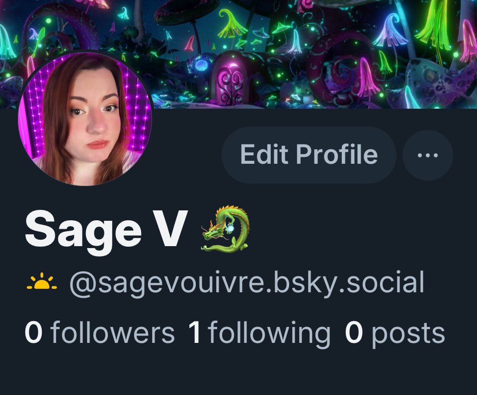 SageKate_'s tweet photo. Okay I finally made one. I have been influenced 😂 https://t.co/qj5uMKYa9w