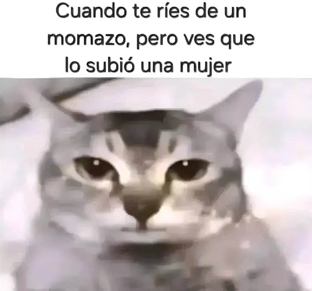 rip_eslouw's tweet photo. depositen imagenes chistosas https://t.co/BogxgpNXMq