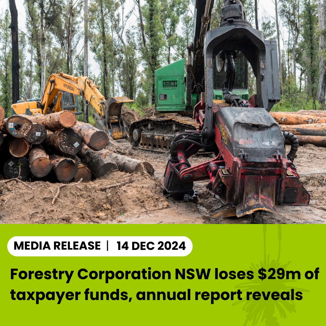 naturensw's tweet photo. MEDIA RELEASE: Forestry Corporation NSW loses $29m of taxpayer funds, annual report reveals

Friday’s release of FCNSW’s annual report shows that the taxpayer is again propping up the destruction of our native forests, reporting $29 m loss in its native hardwood division. https://t.co/nkeZyjDMet