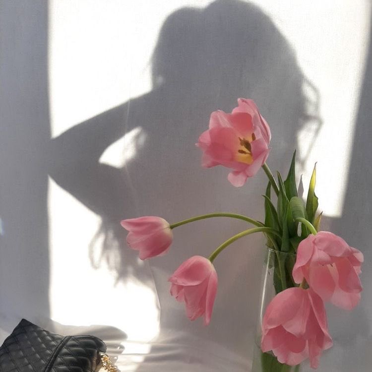 القصيدة العذبة،
الشيء الهشّ جدًا،
العصفورة الواثقة بجناحيها،
الفراشة الحائمة حول النور،
طائر النورس الملتفّ بلونِ السَّماء،
الثابت على الرقّةِ، والصّفاء،
الحالمة والسّعيدة..
تحتضن عامًا جديدًا مُضرجًا باللطف والأمل.

#42_years 🎂🎈🕯️