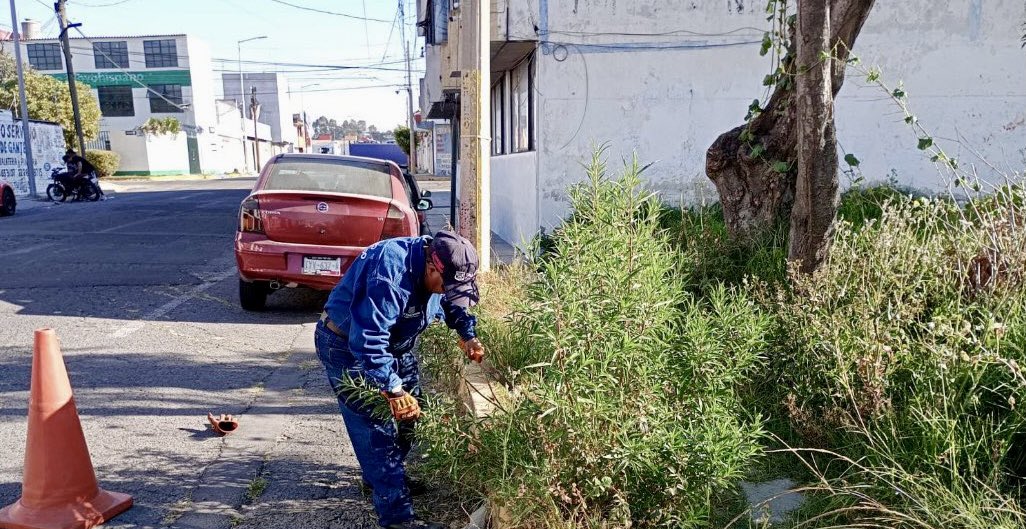 pepechedrauimx's tweet photo. 🛡️ En el “Operativo Guadalupe-Reyes” participan las dependencias de la ciudad en acciones conjuntas para garantizar el bienestar de las familias.

Durante la temporada decembrina, a través de @Servicios_Pub sumamos esfuerzos para mantener nuestros espacios limpios, seguros y bien iluminados.

#LaCapitalImparable🪽