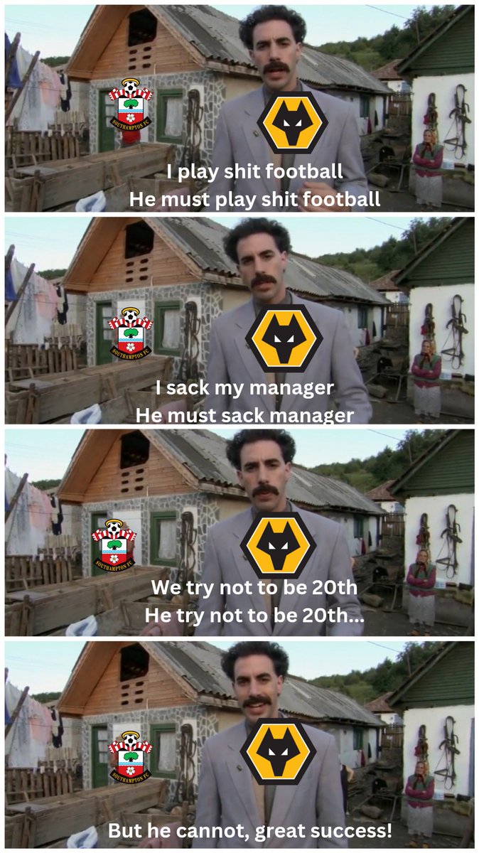 Wolfie 🧡 tweet media