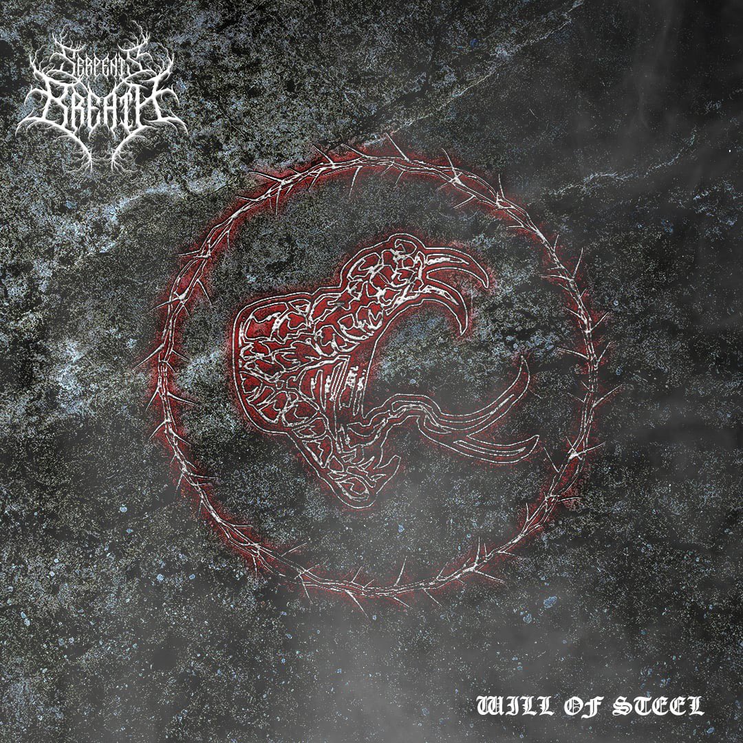 Our debut single, Will Of Steel, drops on Wednesday every where! Link in our bio