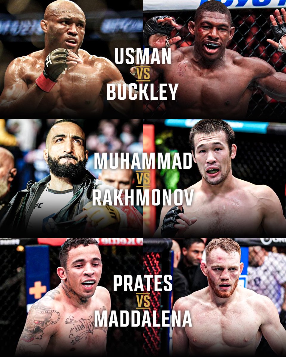 Home of Fight tweet media