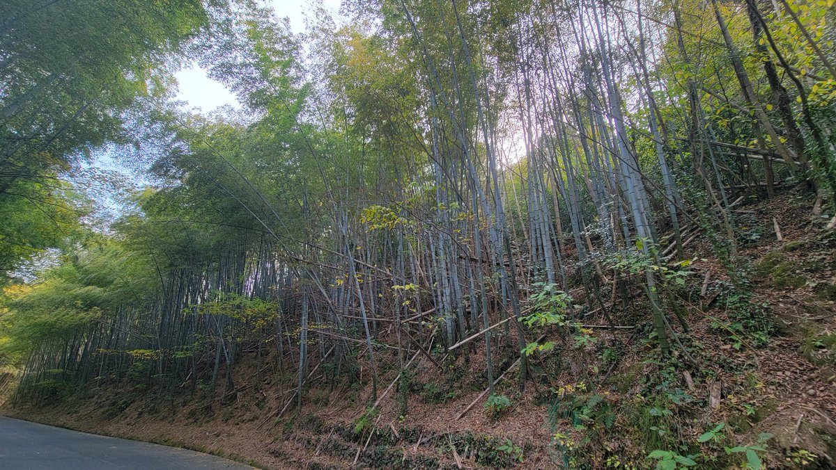ch81524693's tweet photo. 不要な土地家屋の処分てクソめんどいんよね…あと田畑で45筆もあるんですけど… https://t.co/GLu7r7X3Ob