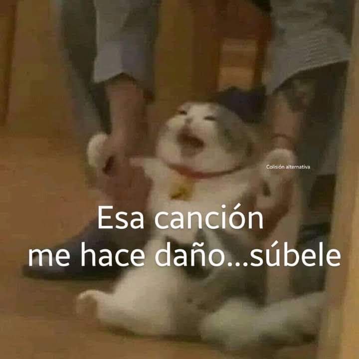 En Júpiter (@en_jupiter_) on Twitter photo 