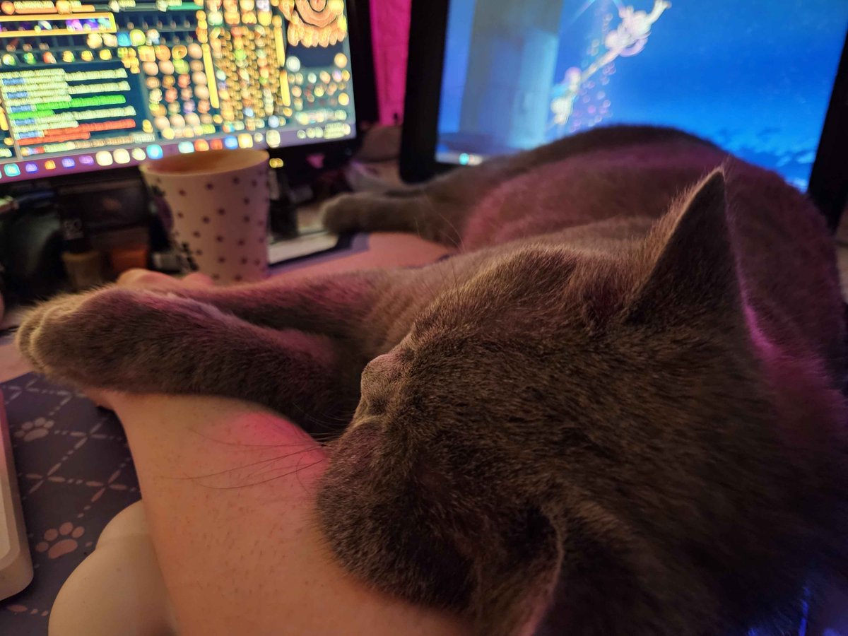SleepyTeaLeaf's tweet photo. sweet baby is sick and wants cuddles 🧸 he's my lil teddybear https://t.co/D34bbx6LXh