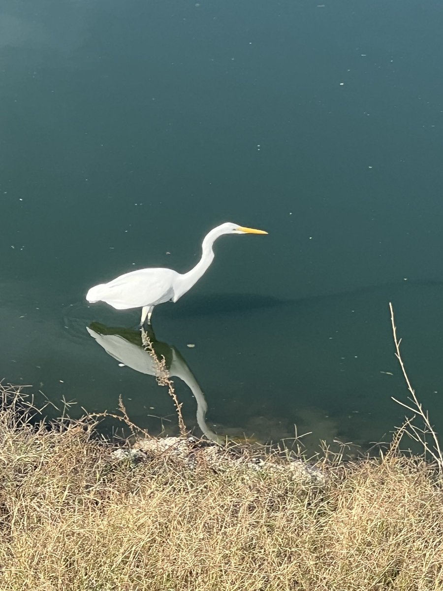 Rich Brooks tweet media