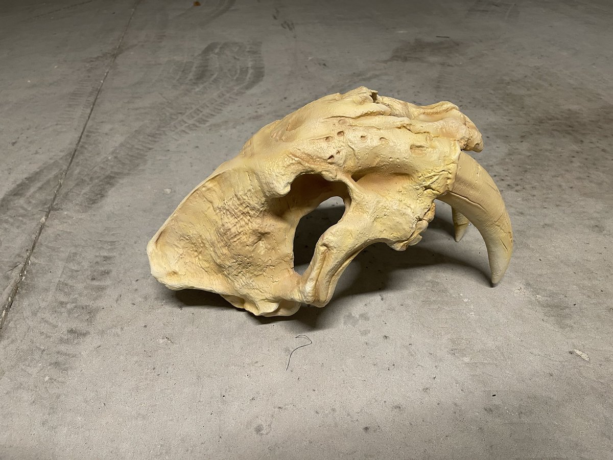 The_Pred_Head's tweet photo. Still some work to do but not as dark now! Not to mention, I gotta put the design on it! 😋 #predhead3 https://t.co/D0In0MONb6