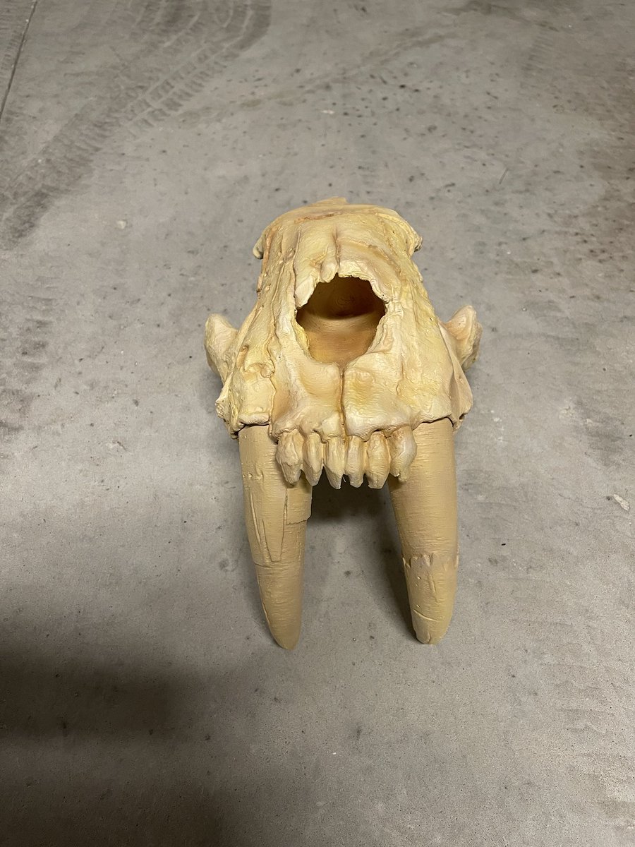 The_Pred_Head's tweet photo. Still some work to do but not as dark now! Not to mention, I gotta put the design on it! 😋 #predhead3 https://t.co/D0In0MONb6