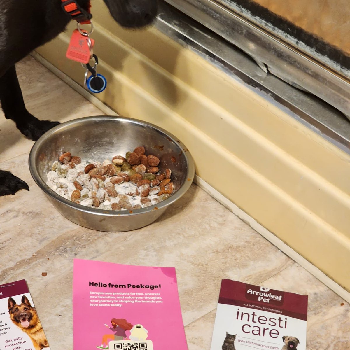 kristincp0's tweet image. I received a complimentary sample packet of Naturpet Arrowleaf Pet Intesticare All-Natural Pet Supplement from Peekage in return for my honest opinion. Blend of diatomaceous earth and herbs for gut health @PeekageApp @NaturPetHealth  #complimentary #GotItForFree #sample #PetsOfX