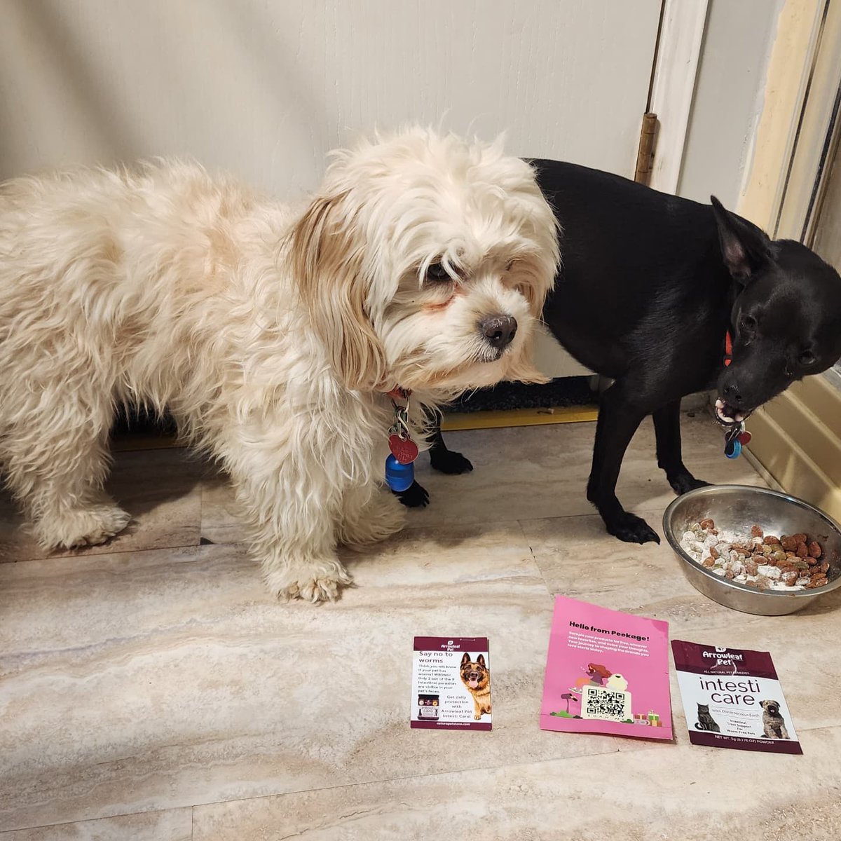 kristincp0's tweet image. I received a complimentary sample packet of Naturpet Arrowleaf Pet Intesticare All-Natural Pet Supplement from Peekage in return for my honest opinion. Blend of diatomaceous earth and herbs for gut health @PeekageApp @NaturPetHealth  #complimentary #GotItForFree #sample #PetsOfX