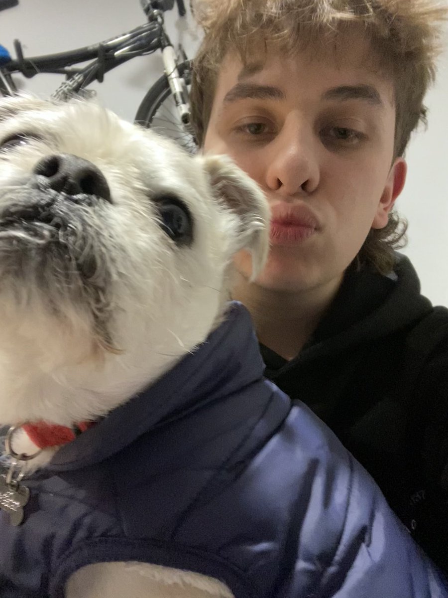 sergicol_02's tweet photo. Si vapeas decepcionas a este perro tan feo https://t.co/nyv6XVDq8C