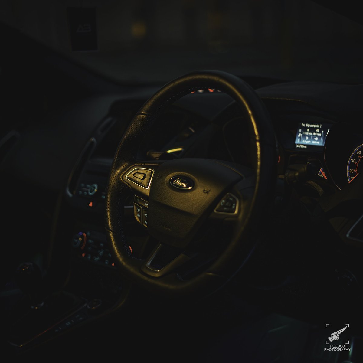 Adamski_Fox's tweet photo. So where do you wanna go? 😏 

📸 By the amazing @R330C0 https://t.co/qWJtKMlAFG