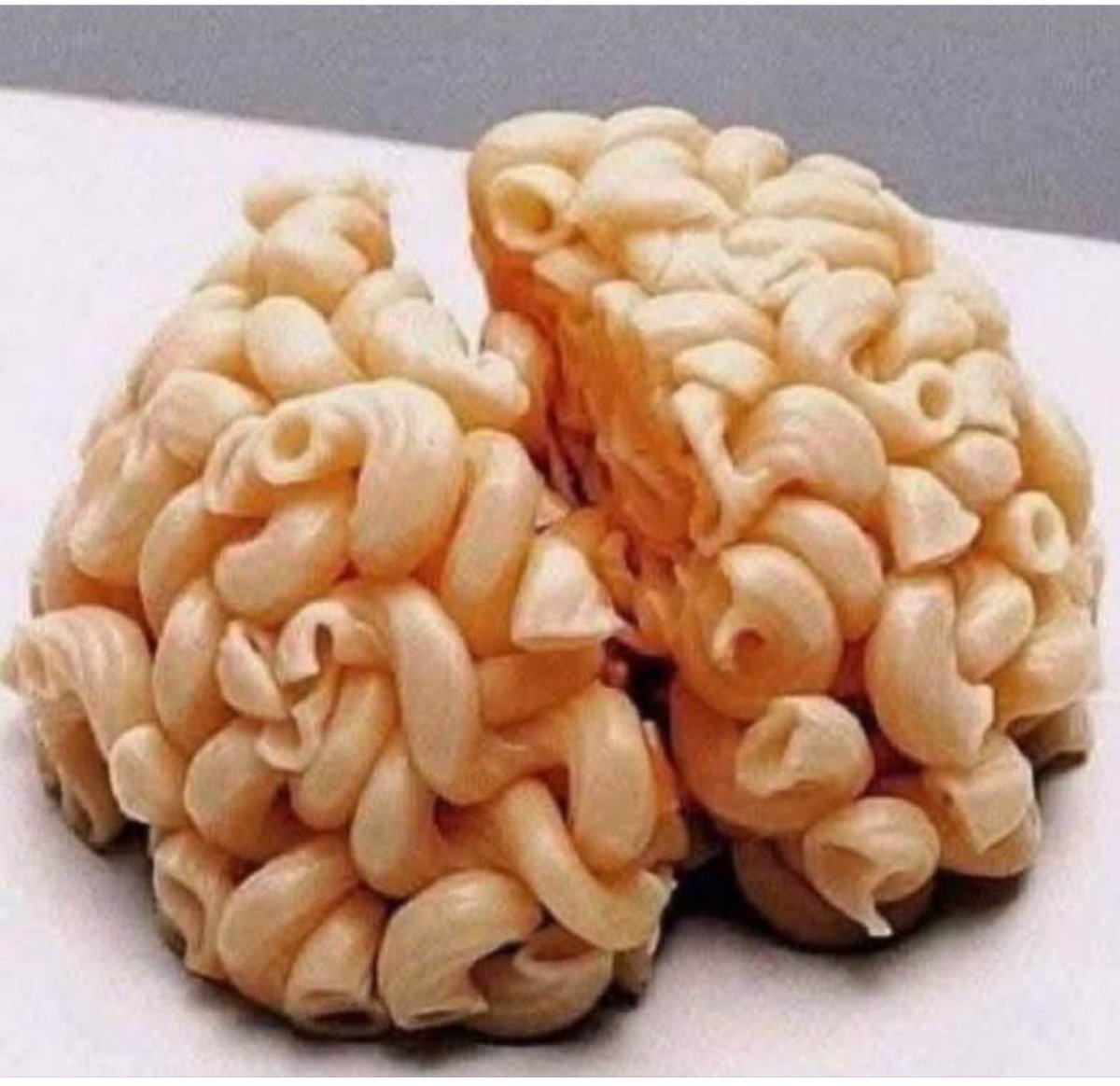 Hep böyleydiniz zaten kendinizi hep zeki sanan zekasız denekler!