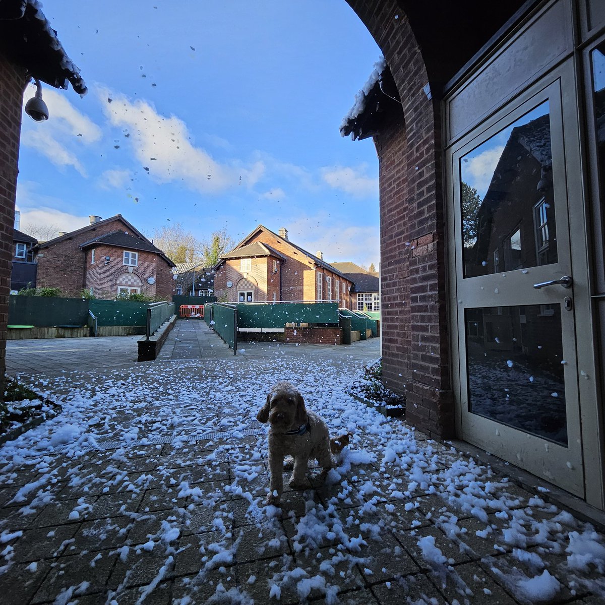 An amazing weekend at Maple House with <a href="/SENDSocialsBham/">SEND Socials Birmingham CIC</a>. A fantastic day with Santa, reindeer feed, arts &amp; crafts &amp; amazing presents. SEND Socials really are amazing people. We can't wait for our next event. 
MHS is not just a school, it's a community for SEND families ❤️💜