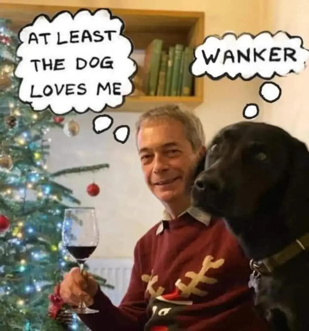paul_redfearn's tweet photo. Woof! https://t.co/12eaevUV75